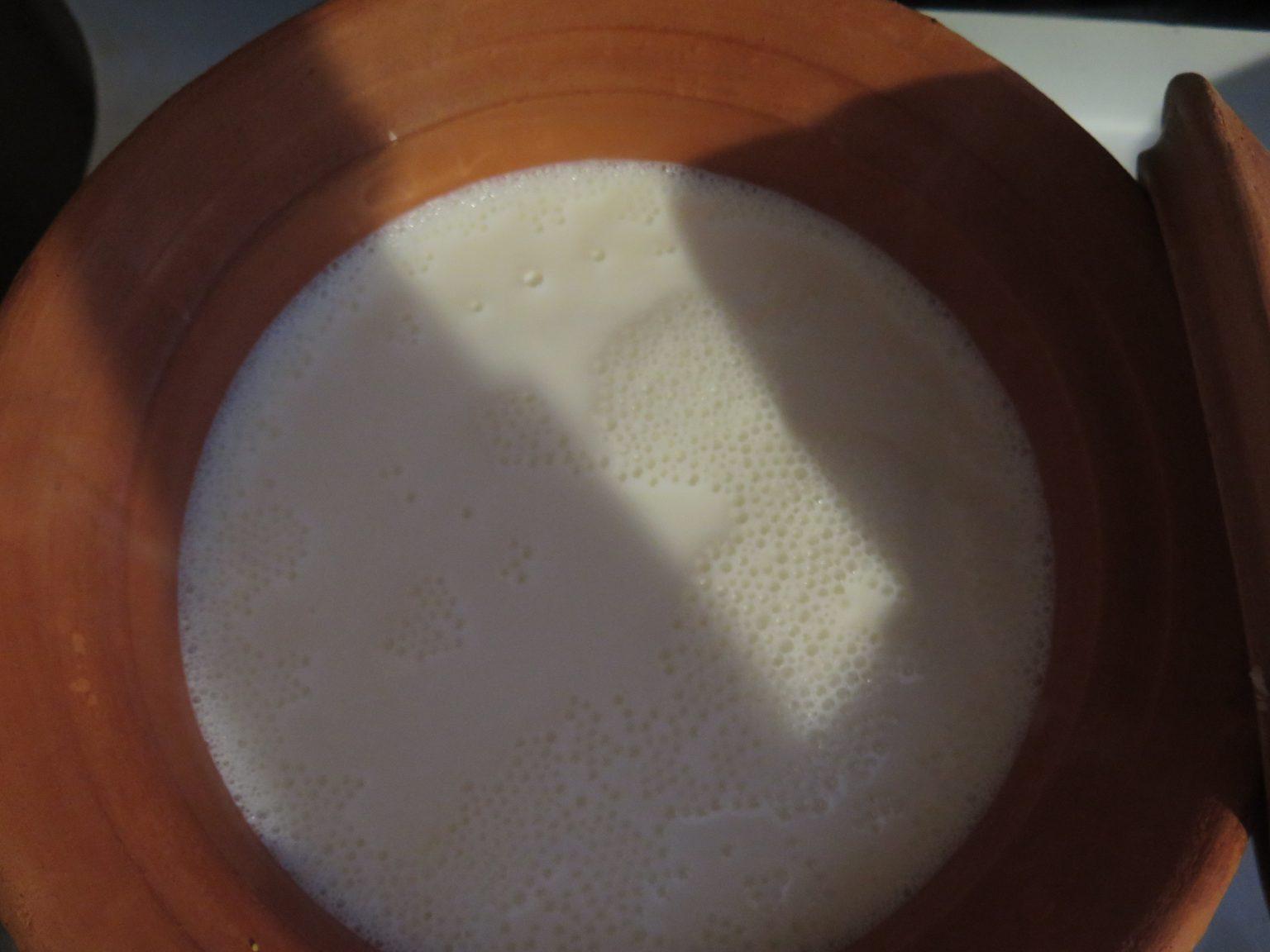 Making Yogurt at Home Thick & Delicious Without Additives or Thickeners