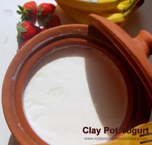 Making Homemade Yogurt Thick, Delicious & Nutritious, W/O the Yucky Additives!