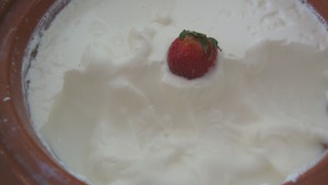 Best Yogurt Maker: The Healthiest Cookware