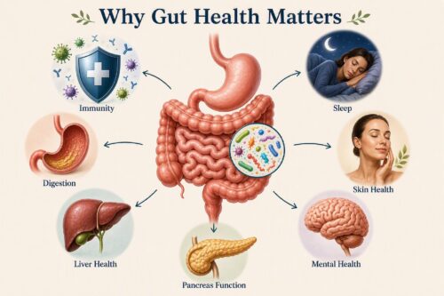 Diagram of the human digestive system surrounded by icons showing what gut health influences: immunity, digestion, liver health, pancreas function, sleep, skin health, and mental health.