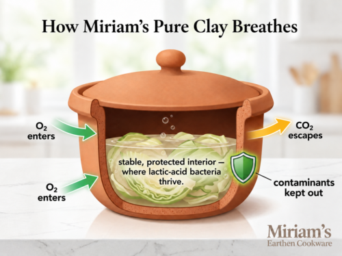 Cross-section of a Miriam's Earthen Cookware pure clay pot fermenting cabbage, with arrows showing carbon dioxide released through the porous clay walls and a shield icon indicating contaminants kept out, leaving a stable interior where lactic-acid bacteria thrive.